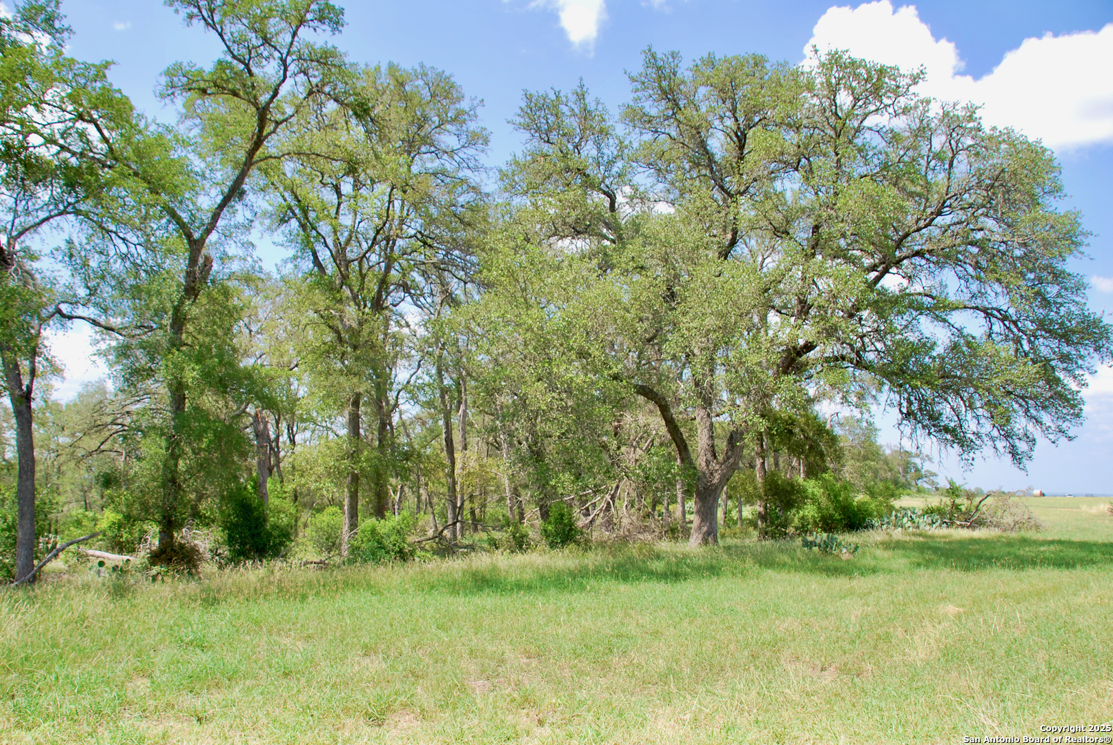 2725 Old Lehmann Seguin TX 78155