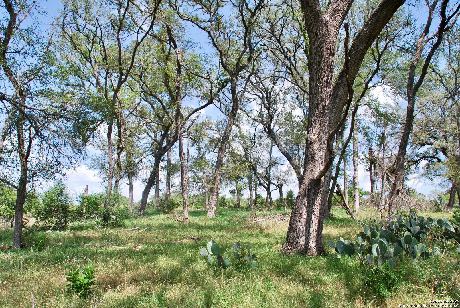 2725 Old Lehmann Seguin TX 78155