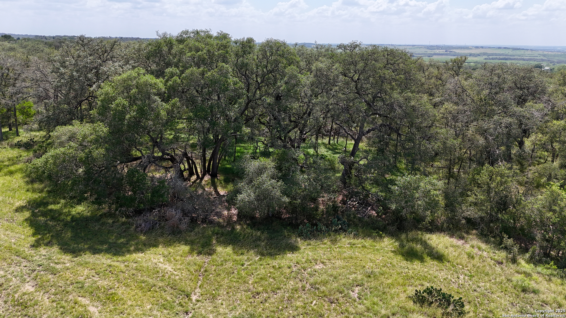 2725 Old Lehmann Seguin TX 78155