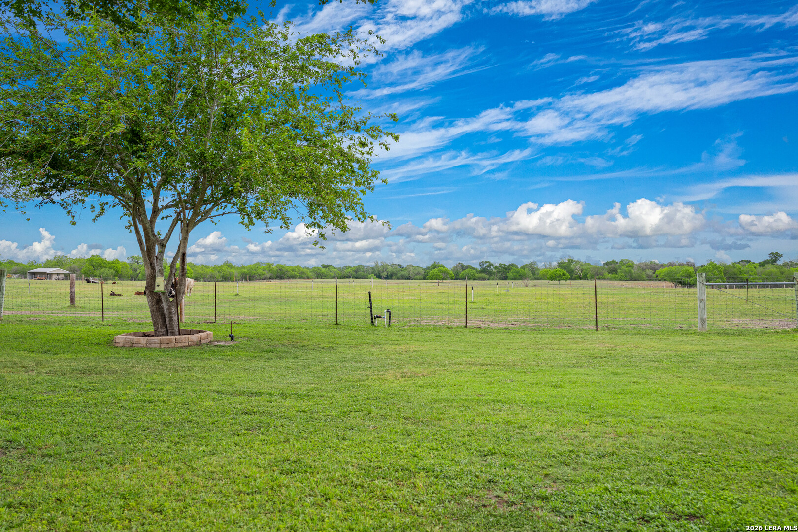 165 Pr 8250 Kenedy TX 78151