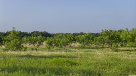 11454 Highway 1476 Comanche TX 76442