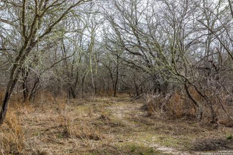 8684 Mineral Cemetery Road Beeville TX 78102