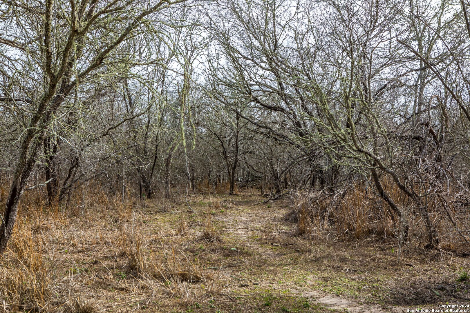 8684 Mineral Cemetery Road Beeville TX 78102