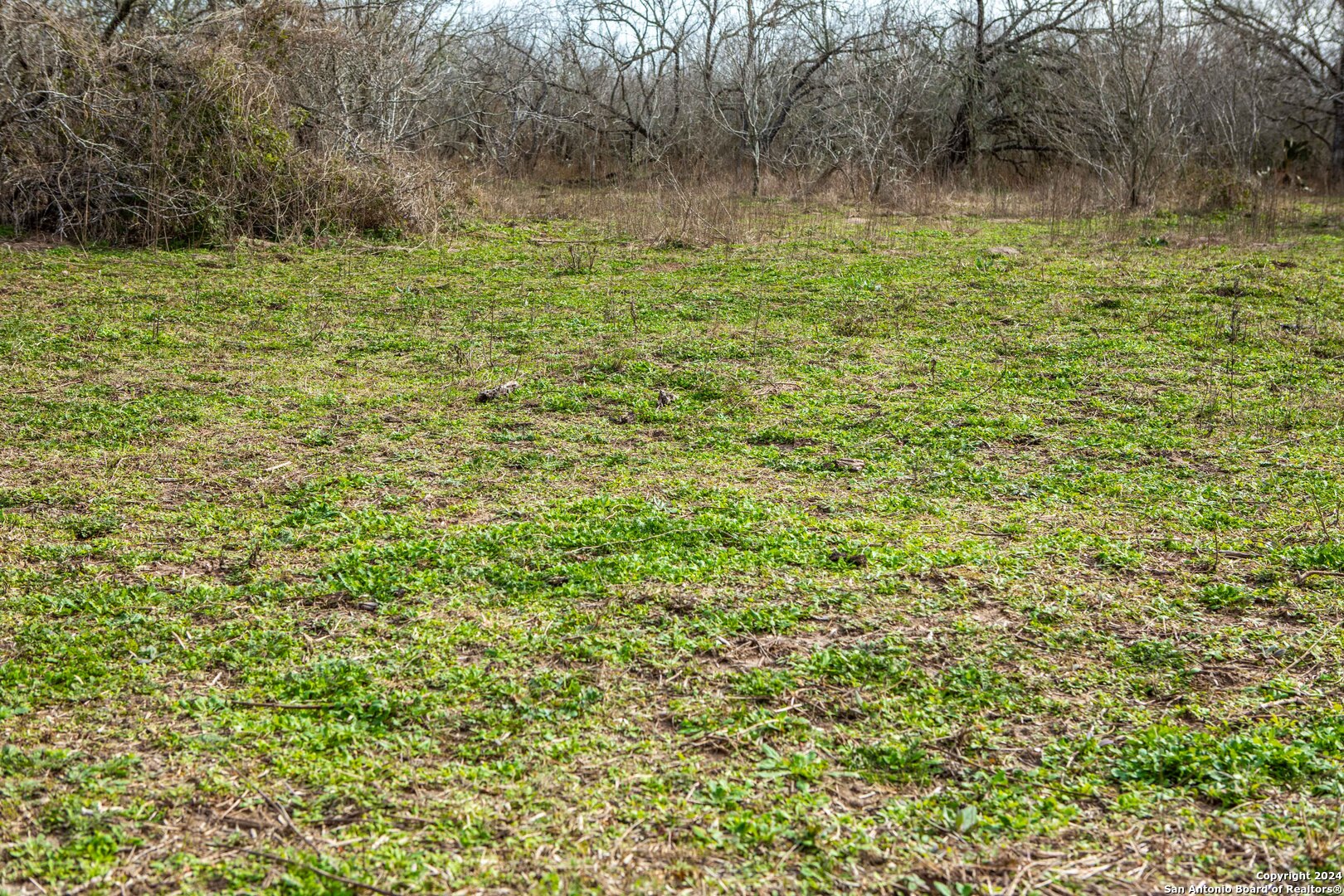 8684 Mineral Cemetery Road Beeville TX 78102