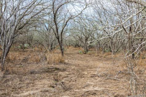 8684 Mineral Cemetery Road Beeville TX 78102