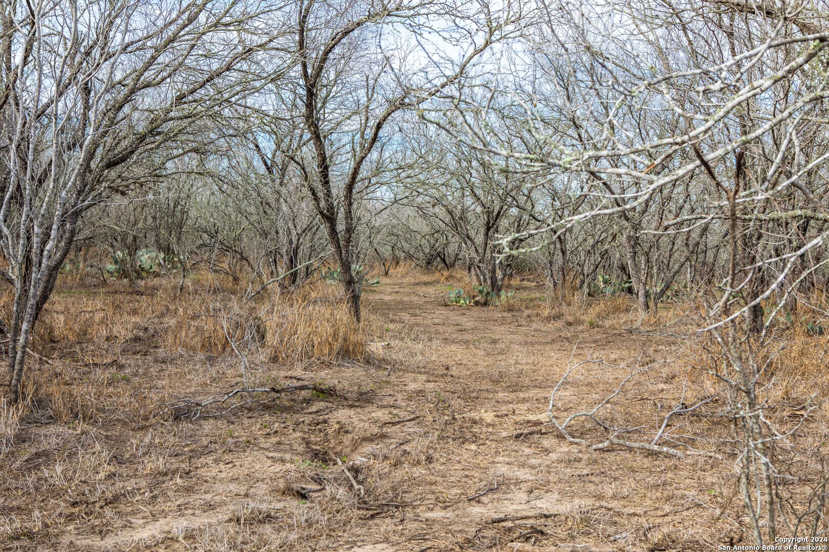 8684 Mineral Cemetery Road Beeville TX 78102