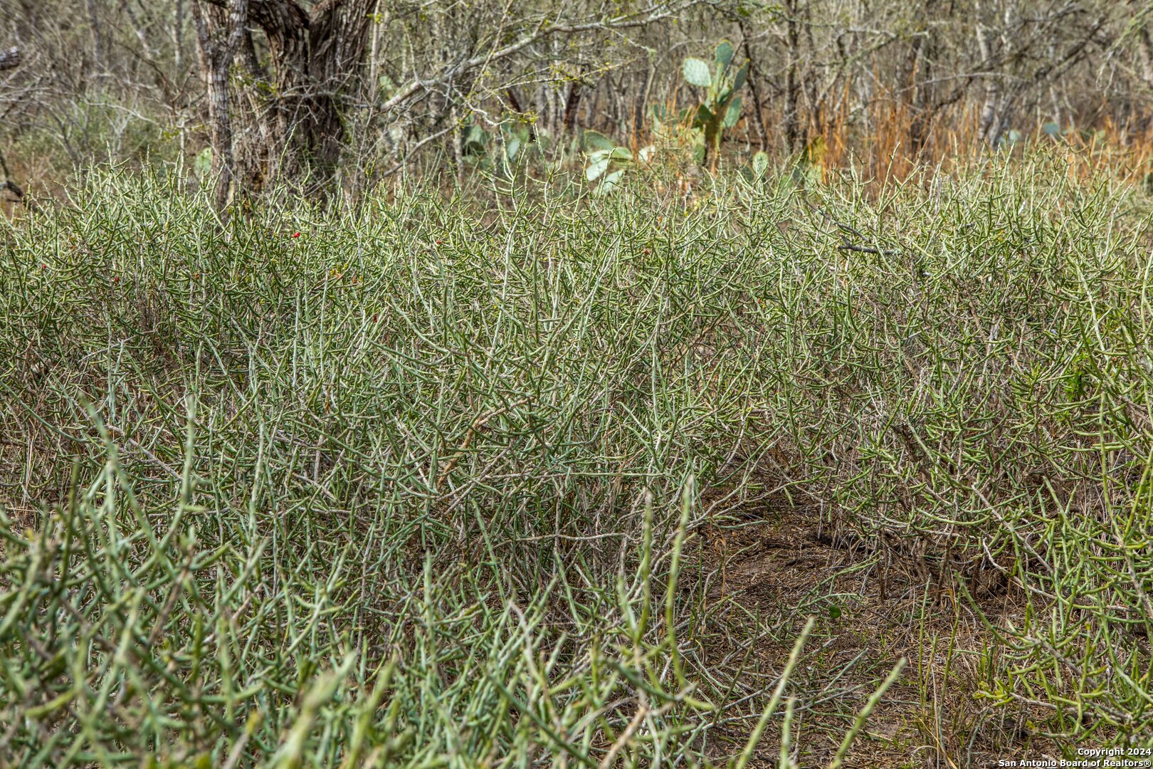 8684 Mineral Cemetery Road Beeville TX 78102