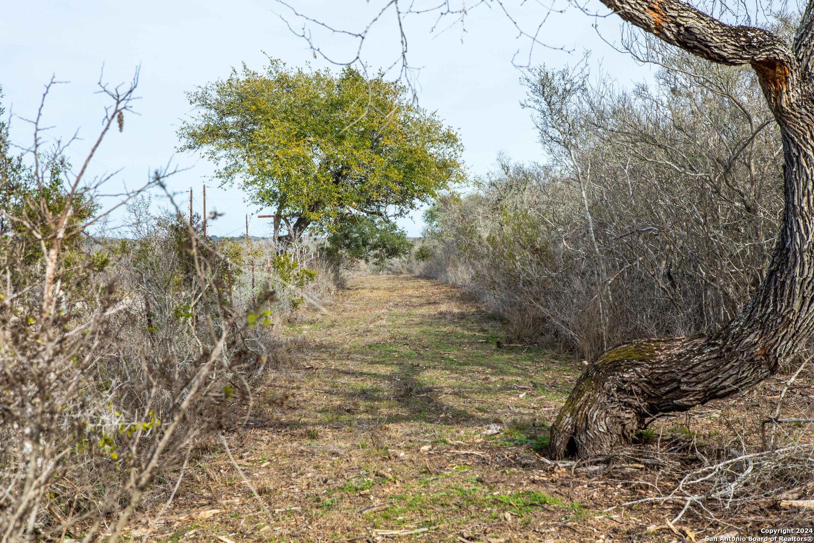 8684 Mineral Cemetery Road Beeville TX 78102