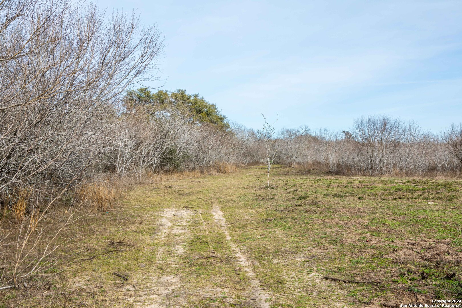 8684 Mineral Cemetery Road Beeville TX 78102