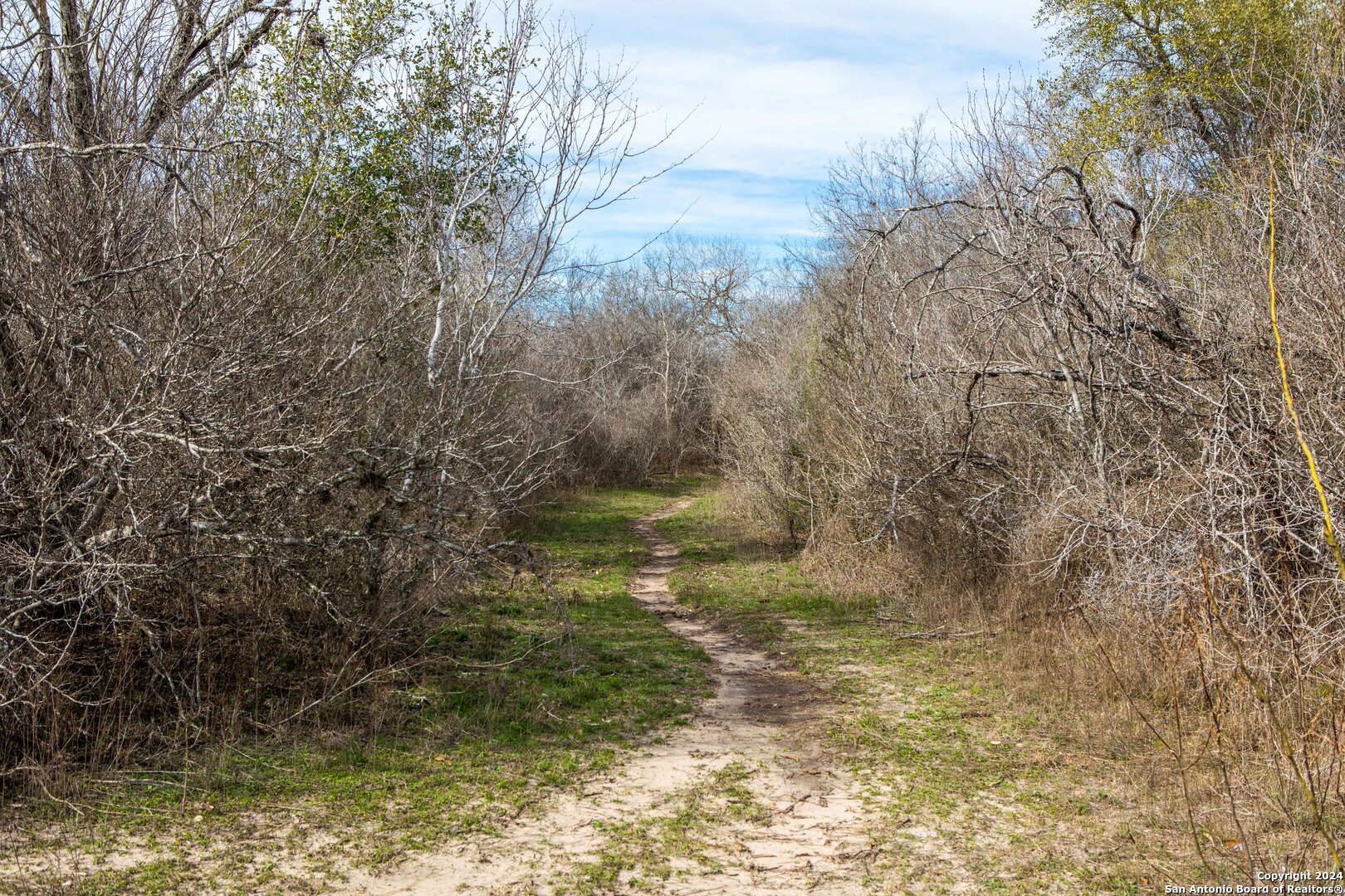8684 Mineral Cemetery Road Beeville TX 78102