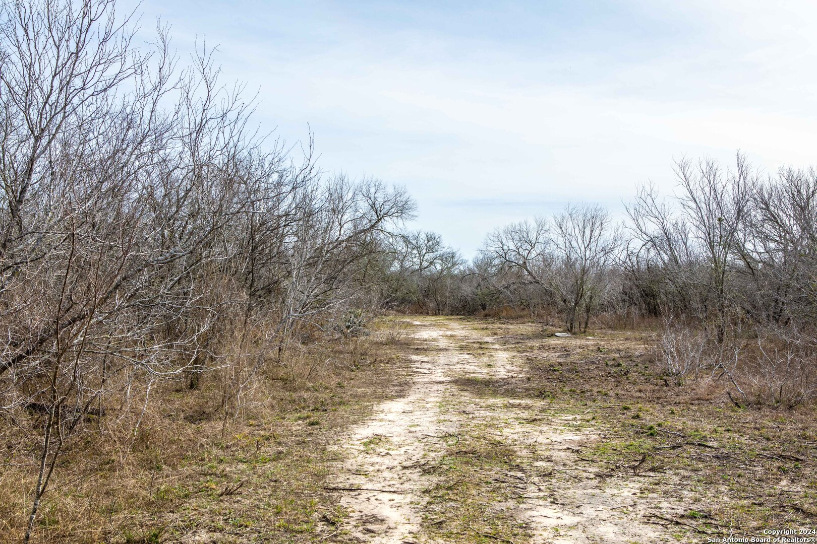 8684 Mineral Cemetery Road Beeville TX 78102