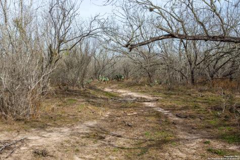 8684 Mineral Cemetery Road Beeville TX 78102