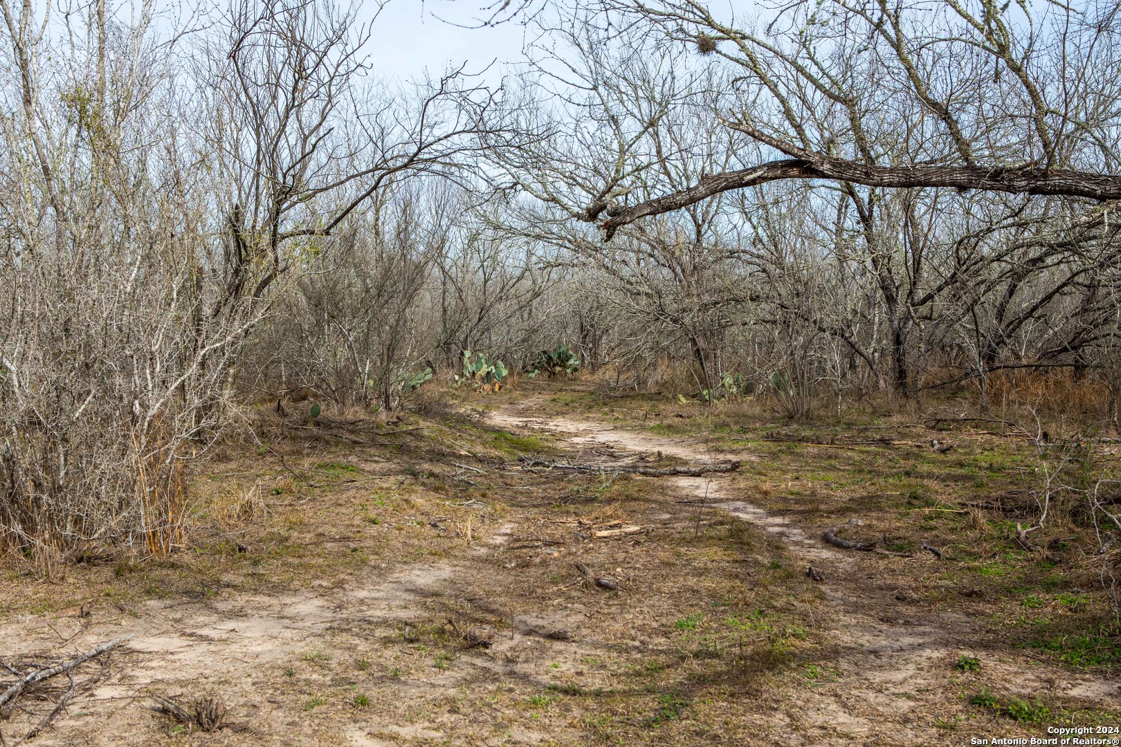 8684 Mineral Cemetery Road Beeville TX 78102