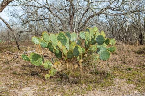 8684 Mineral Cemetery Road Beeville TX 78102