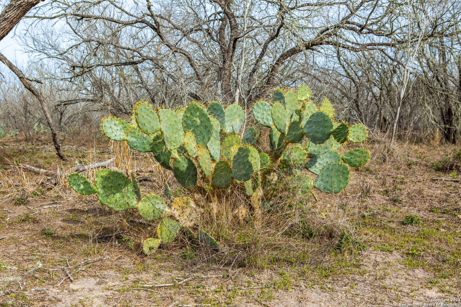 8684 Mineral Cemetery Road Beeville TX 78102