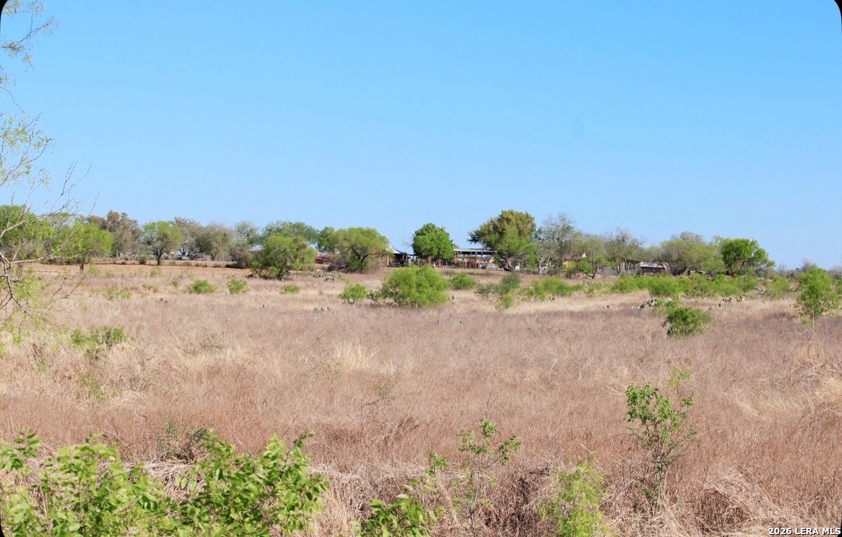 435 County Road 7715 Devine TX 78016