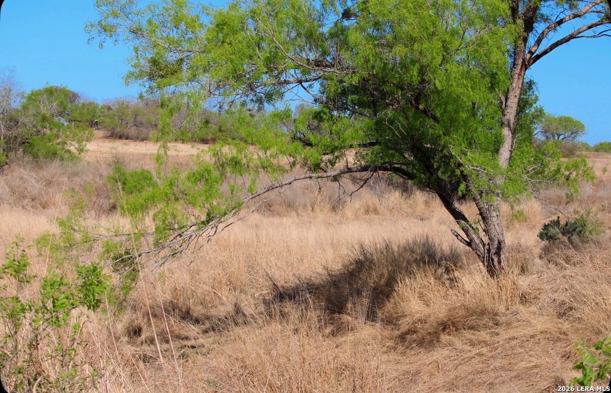 435 County Road 7715 Devine TX 78016