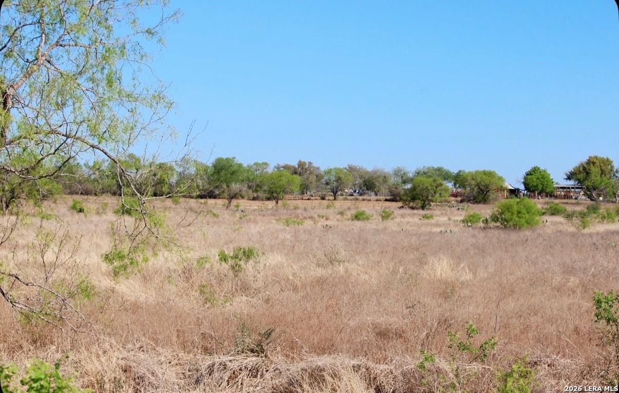435 County Road 7715 Devine TX 78016