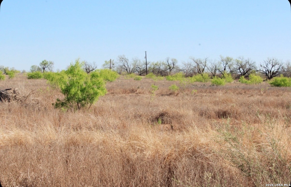 435 County Road 7715 Devine TX 78016