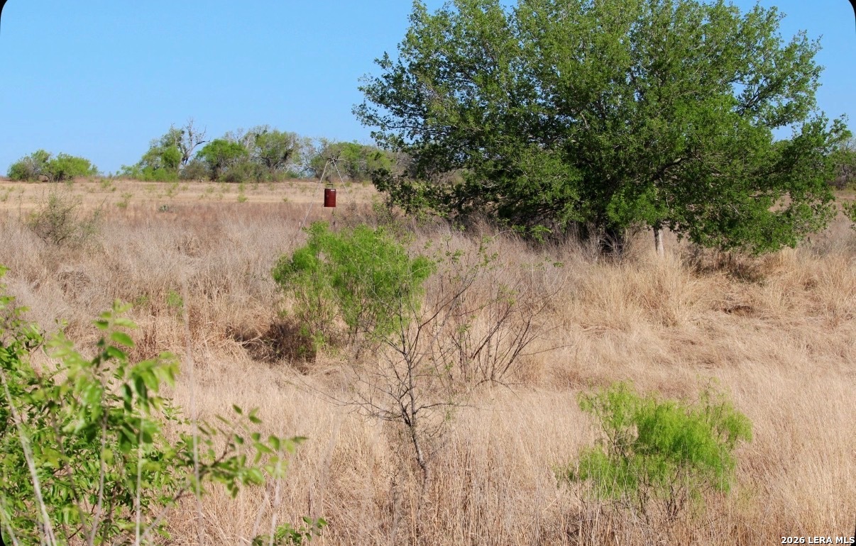 435 County Road 7715 Devine TX 78016