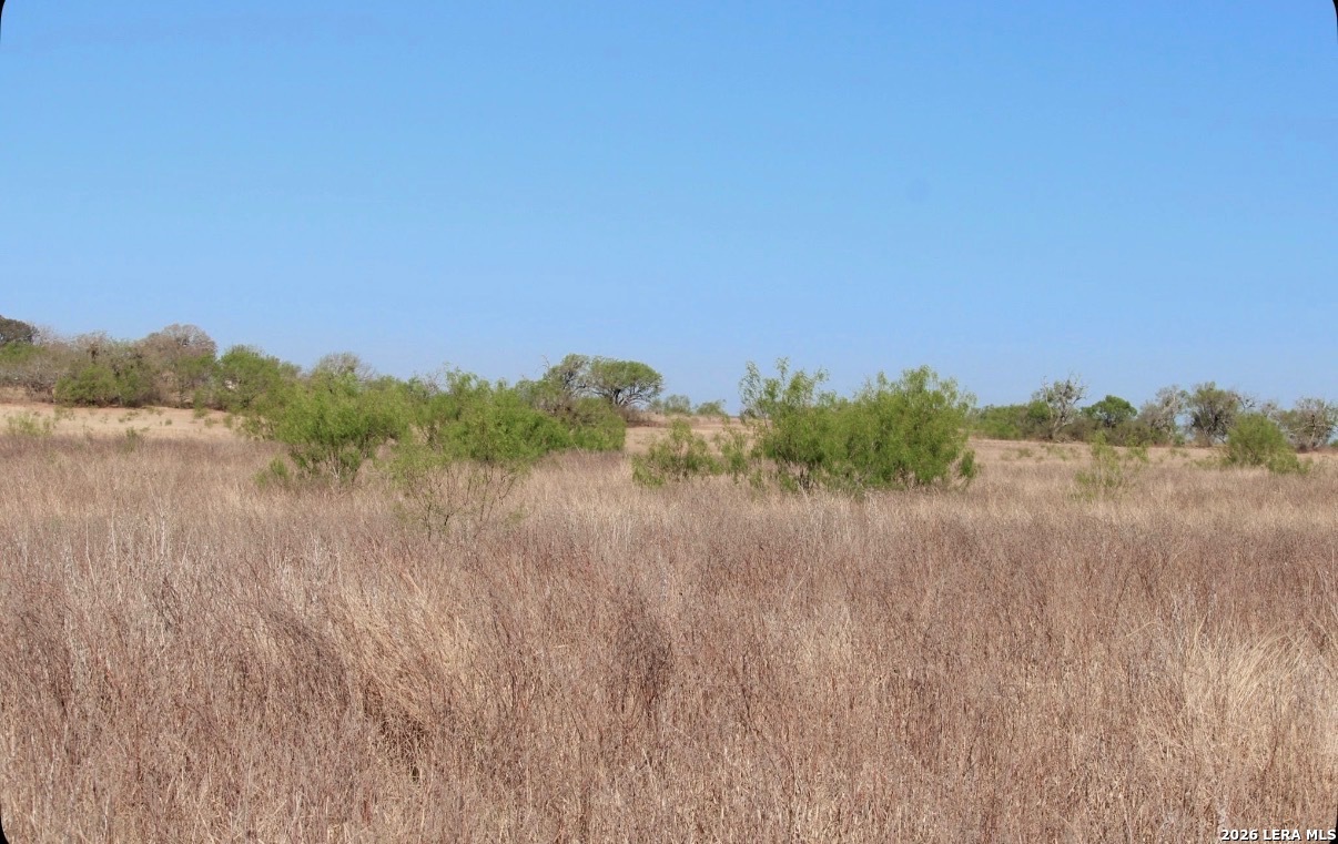 435 County Road 7715 Devine TX 78016