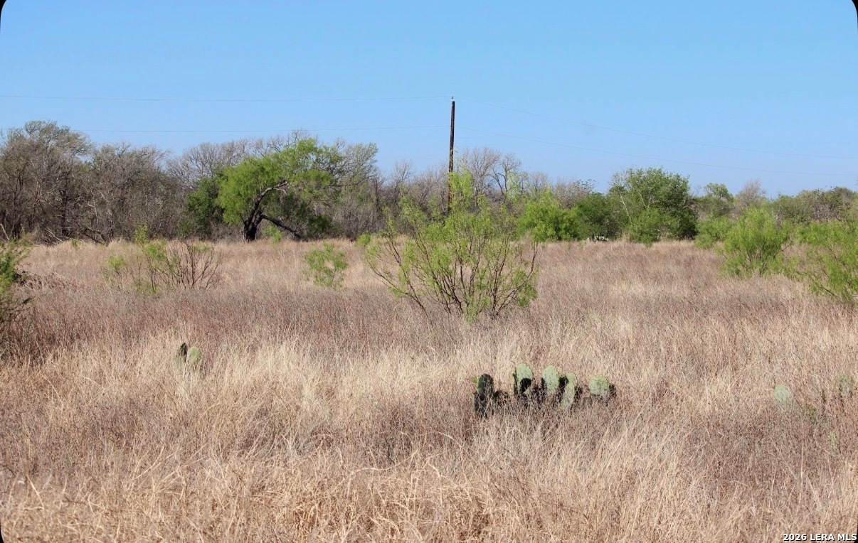 435 County Road 7715 Devine TX 78016