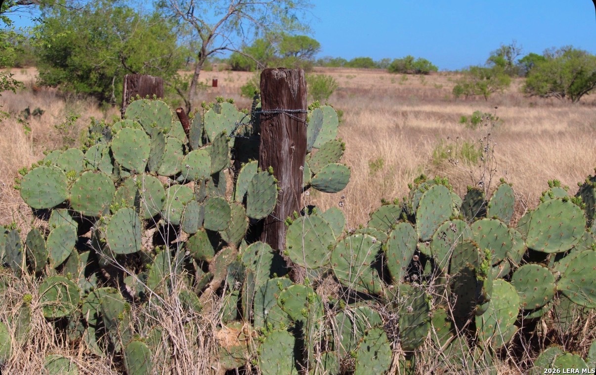 435 County Road 7715 Devine TX 78016