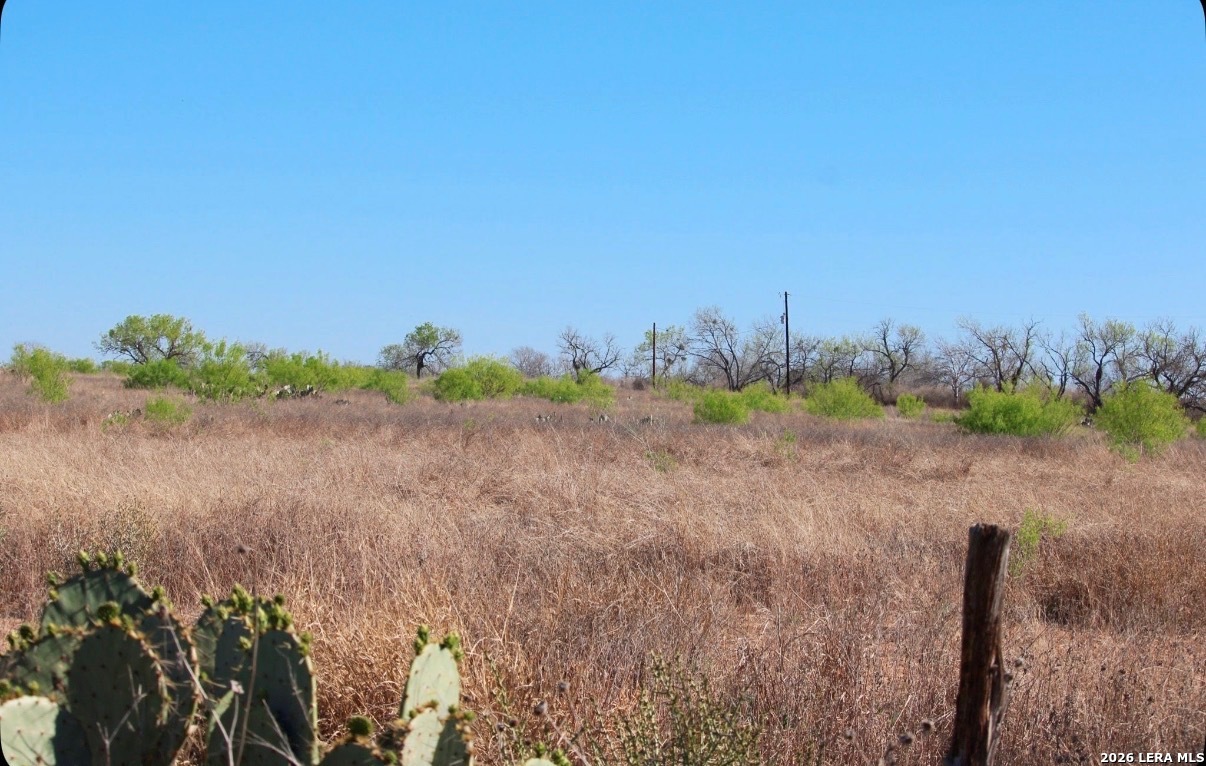 435 County Road 7715 Devine TX 78016