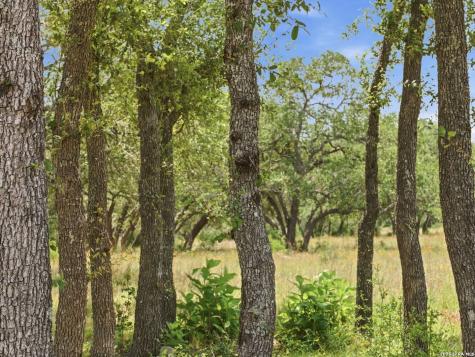 185 Acres Fm 3351 N Boerne TX 78006