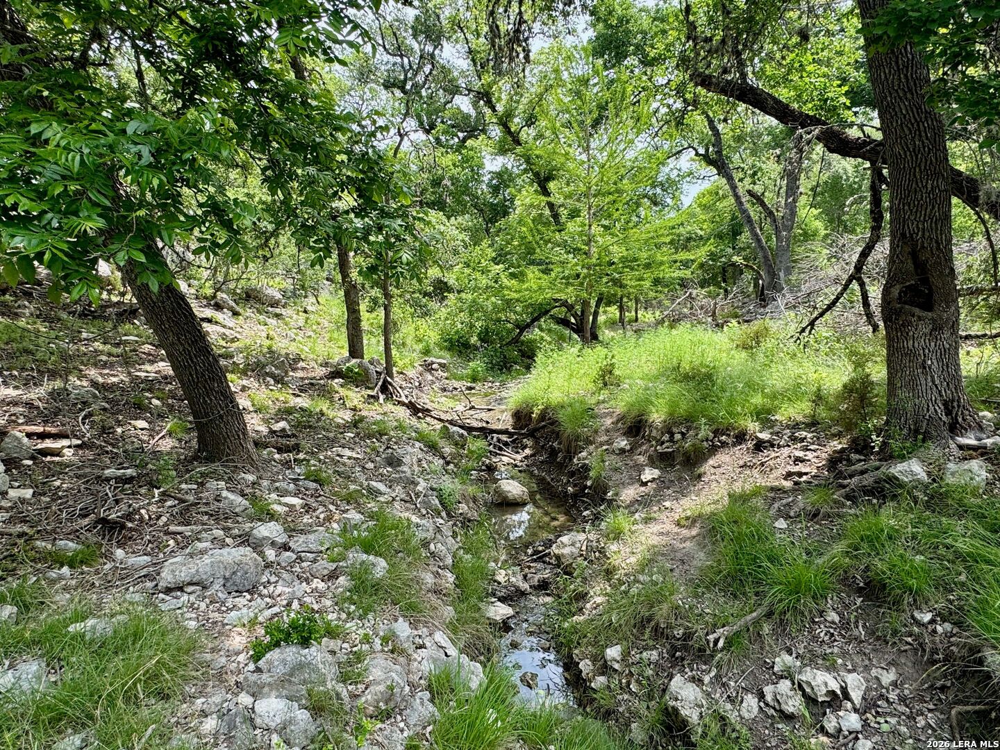 185 Acres Fm 3351 N Boerne TX 78006