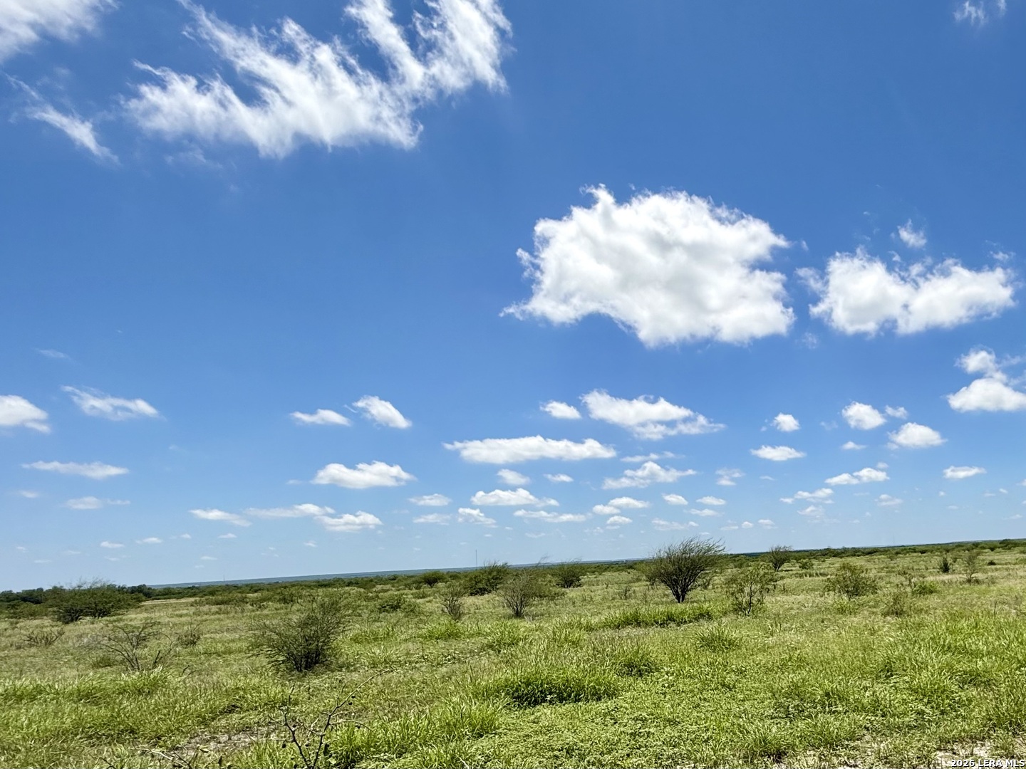0 Cr 235 Three Rivers TX 78071