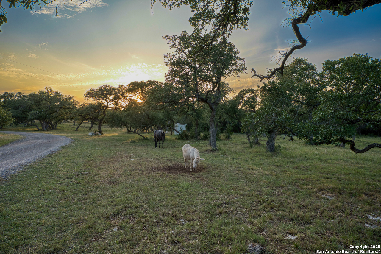 3111 Hugo Road San Marcos TX 78666