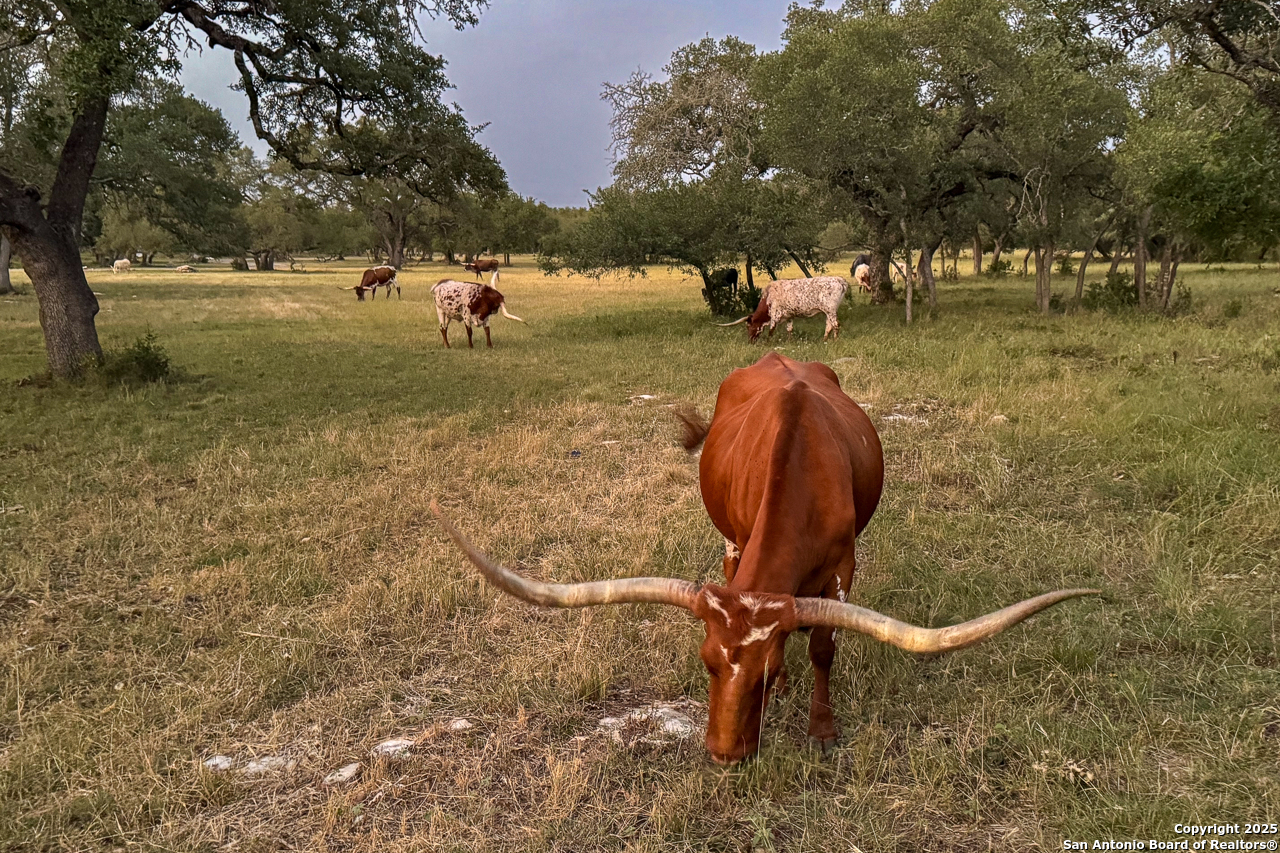 3111 Hugo Road San Marcos TX 78666