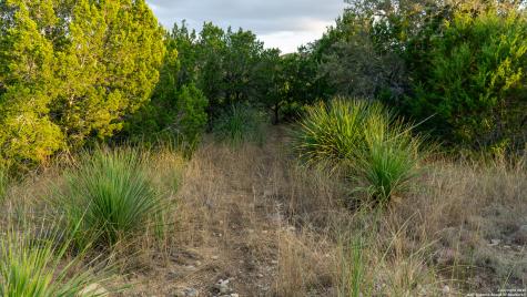 1593 County Road 354 Utopia TX 78884