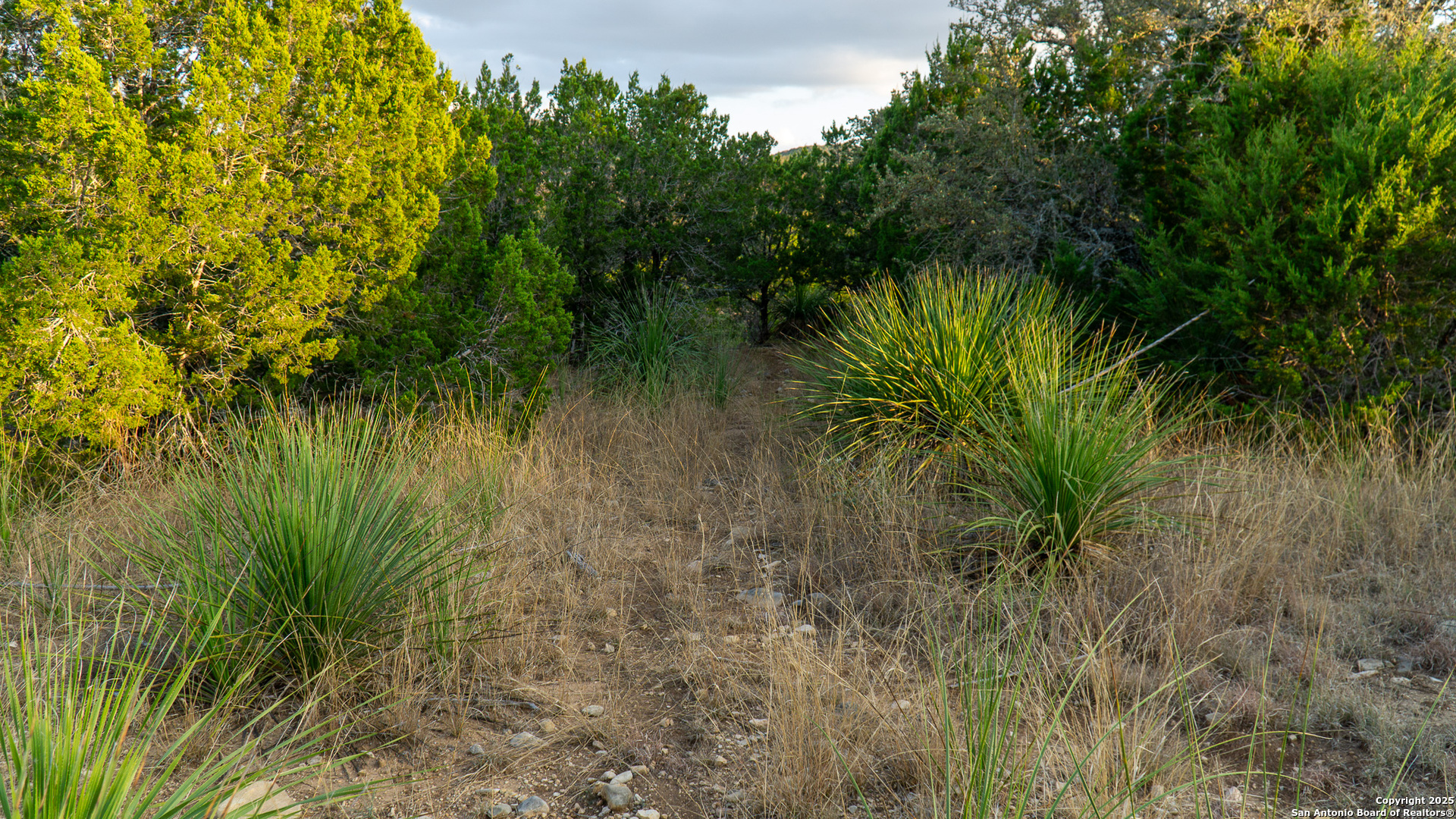 1593 County Road 354 Utopia TX 78884