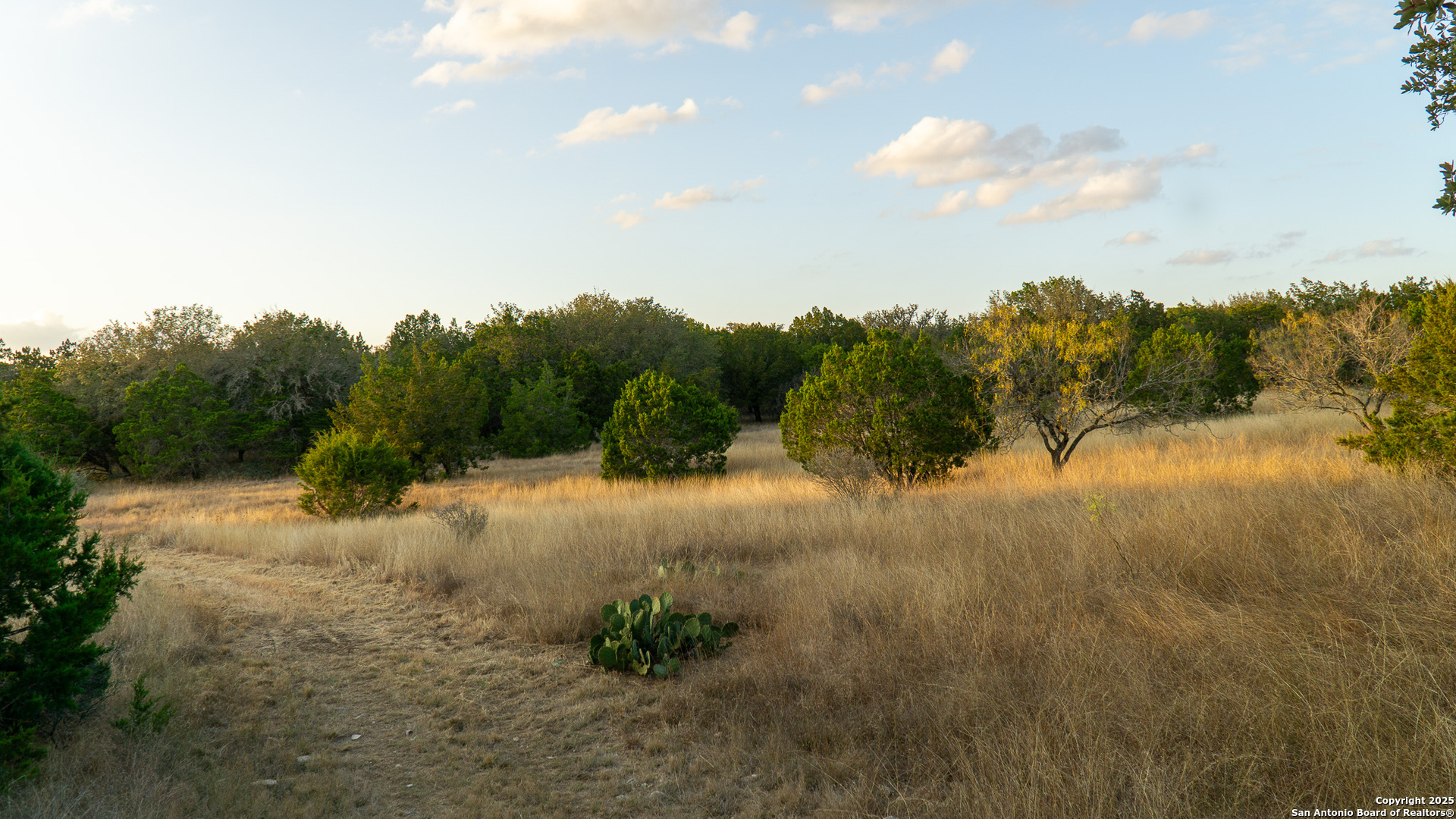 1593 County Road 354 Utopia TX 78884