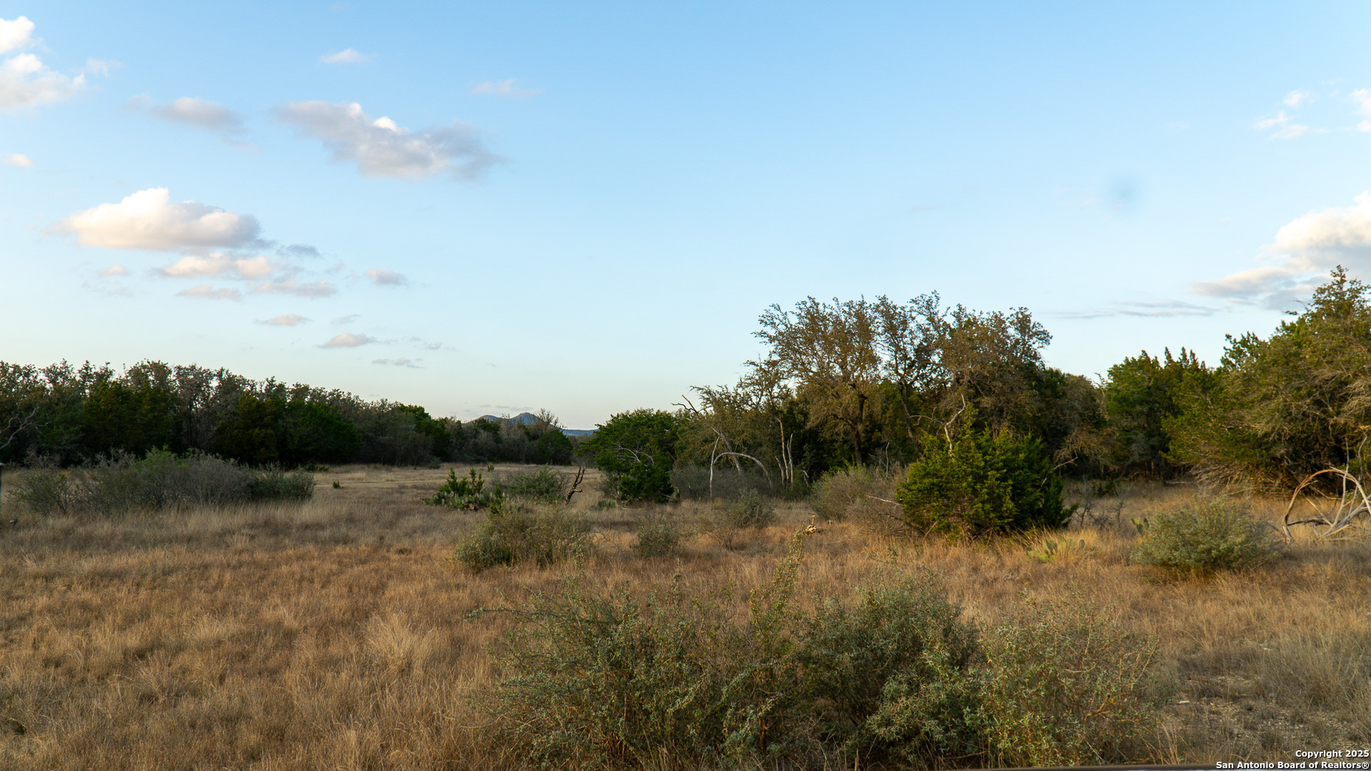 1593 County Road 354 Utopia TX 78884