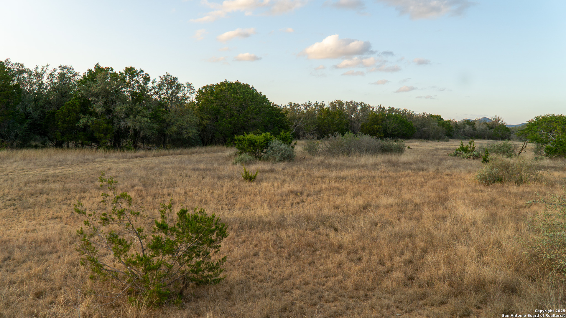 1593 County Road 354 Utopia TX 78884