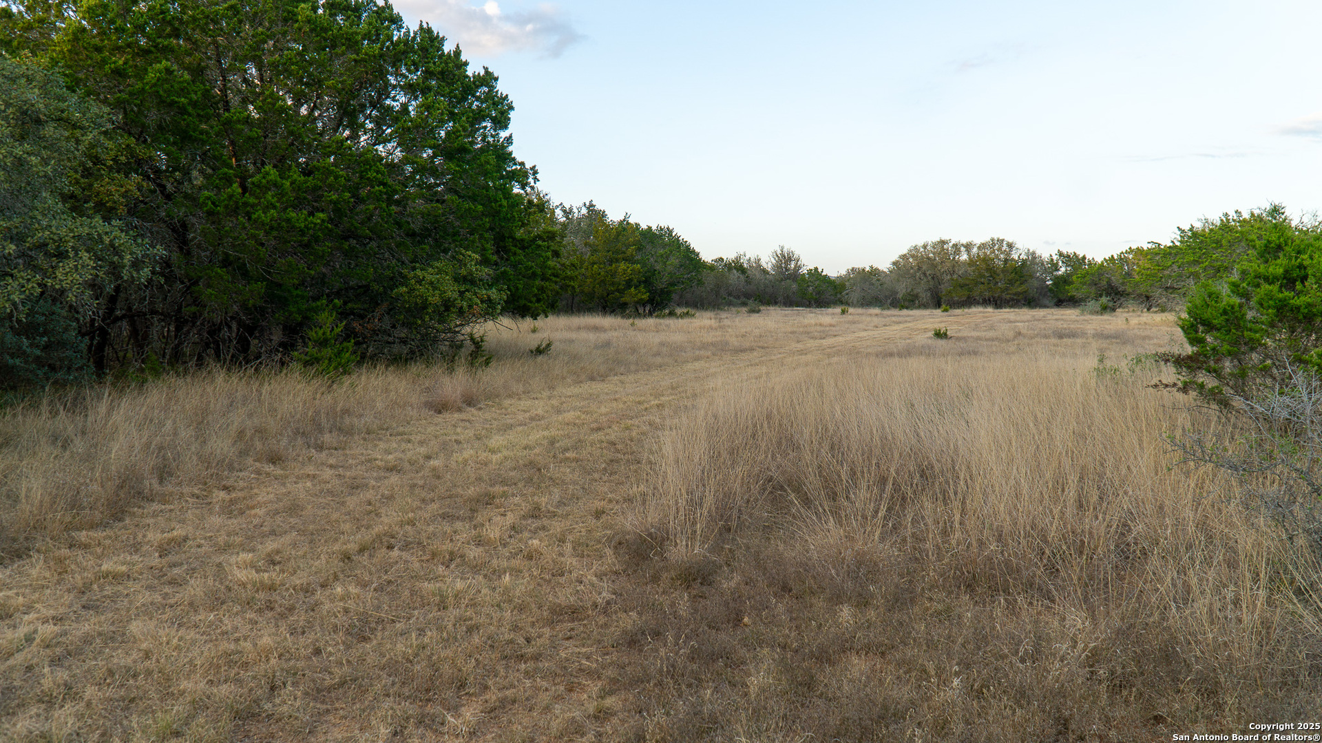1593 County Road 354 Utopia TX 78884