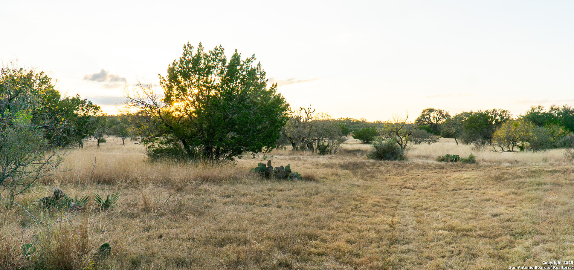 1593 County Road 354 Utopia TX 78884