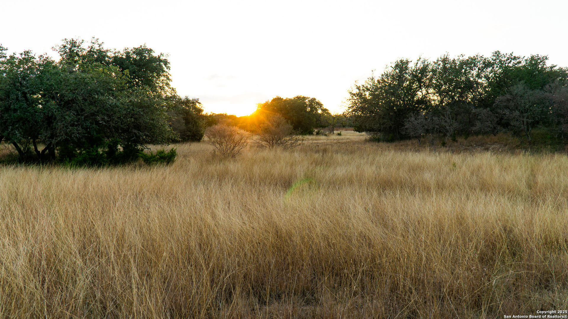 1593 County Road 354 Utopia TX 78884