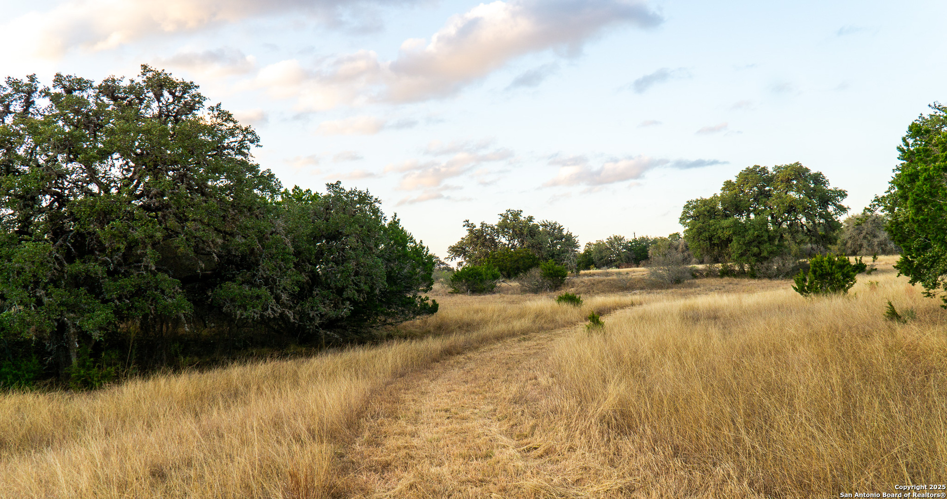1593 County Road 354 Utopia TX 78884