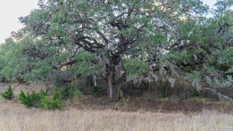 1593 County Road 354 Utopia TX 78884