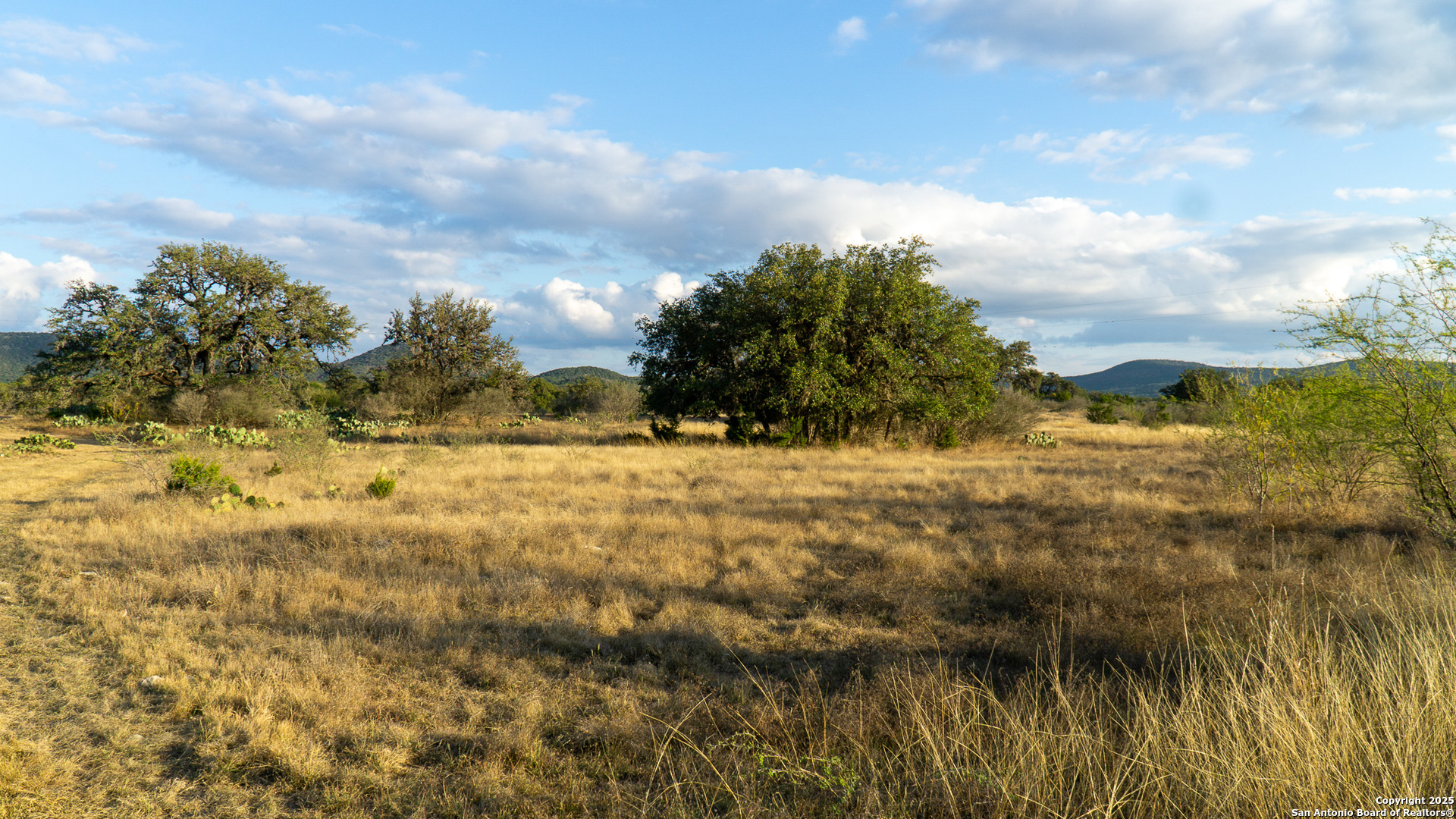 1593 County Road 354 Utopia TX 78884