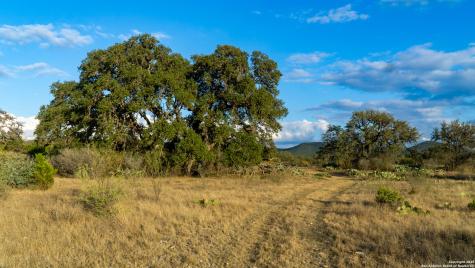 1593 County Road 354 Utopia TX 78884