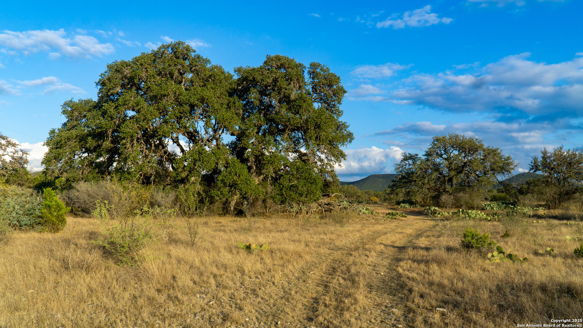 1593 County Road 354 Utopia TX 78884