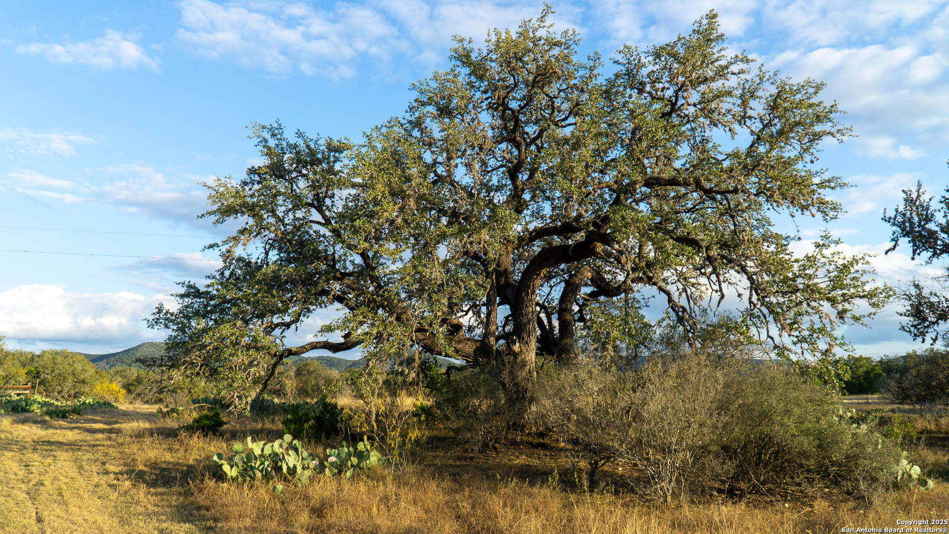 1593 County Road 354 Utopia TX 78884