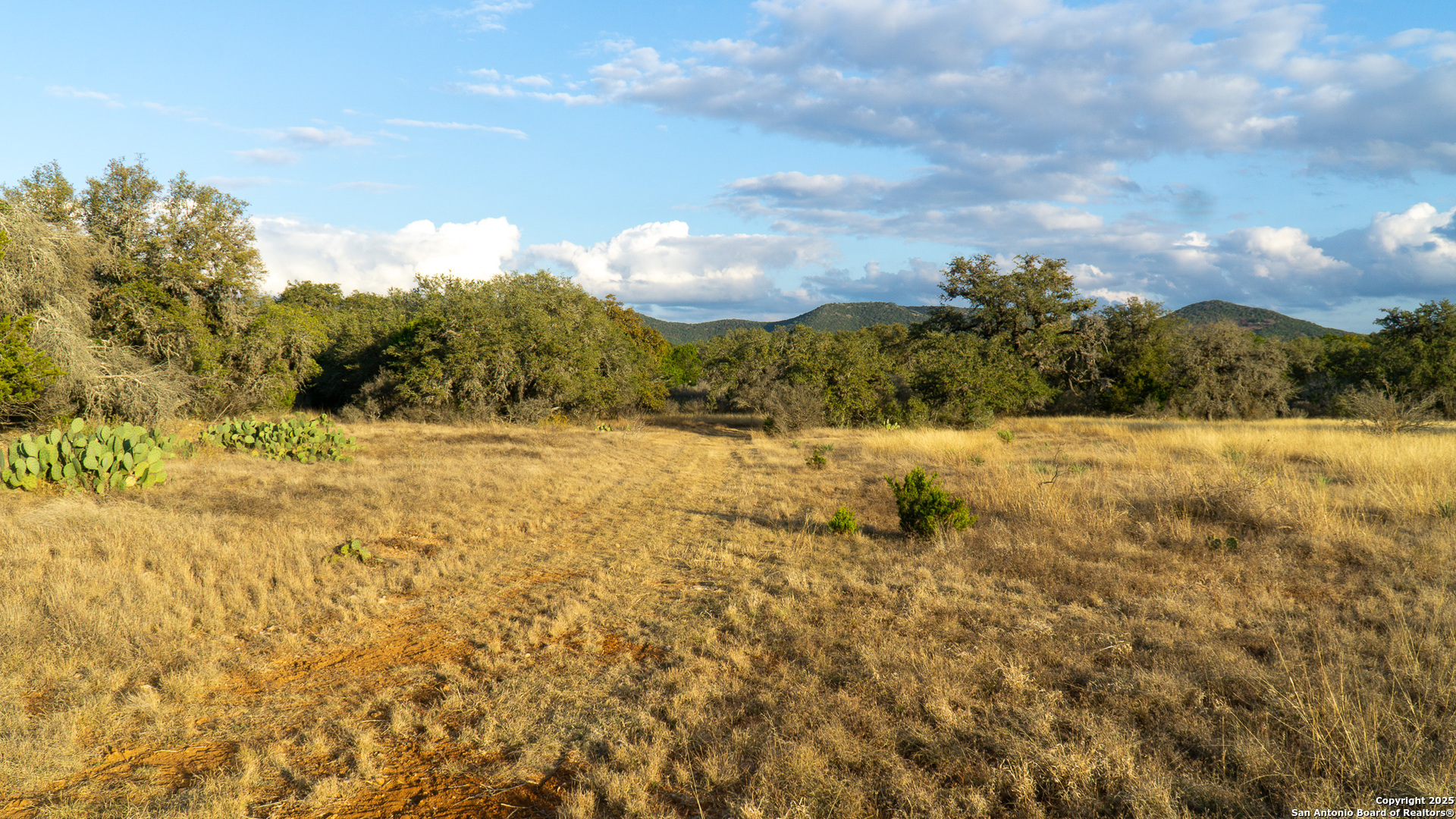 1593 County Road 354 Utopia TX 78884