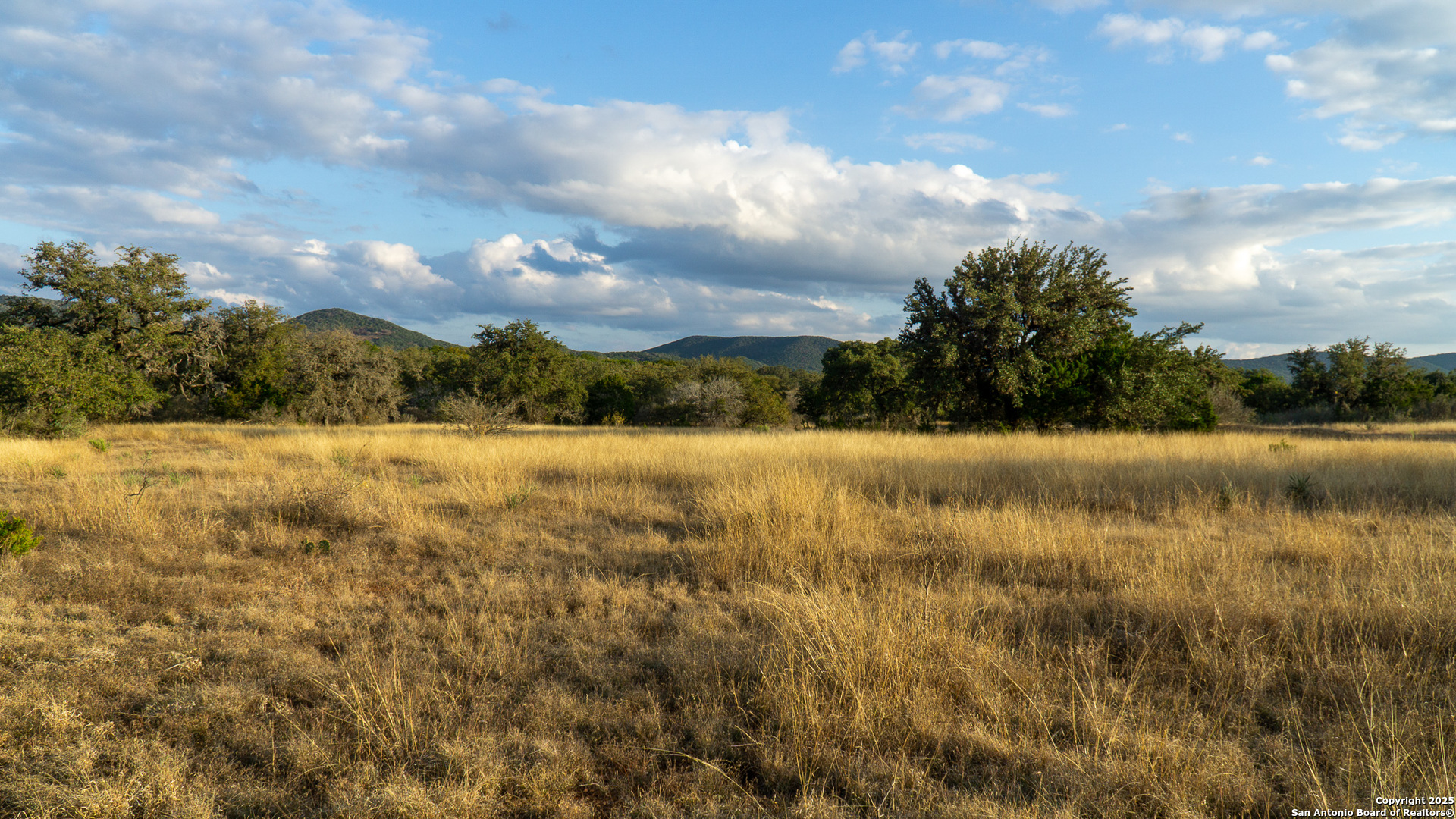 1593 County Road 354 Utopia TX 78884