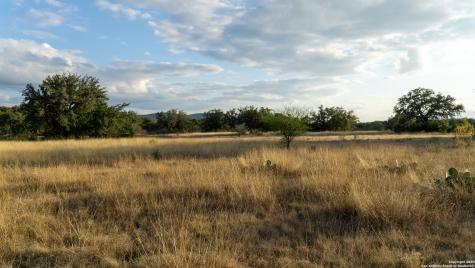 1593 County Road 354 Utopia TX 78884